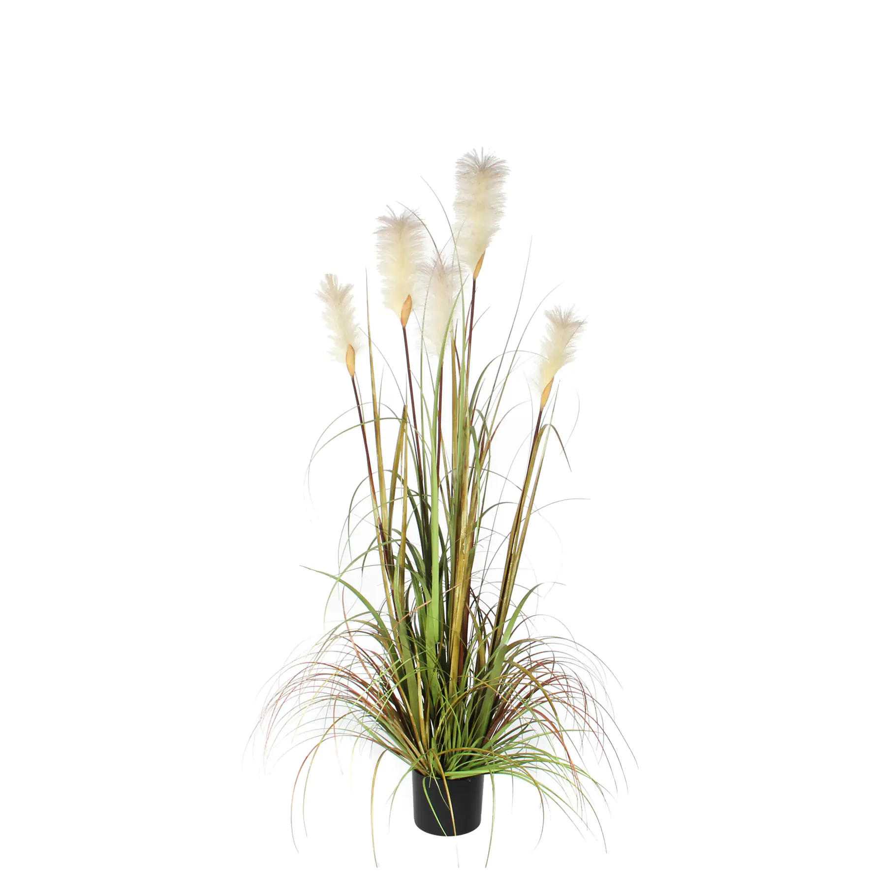 8717669651307 Mica Kunstpflanze Federgras Foxtail im Topf grün, 150 x 70 cm
