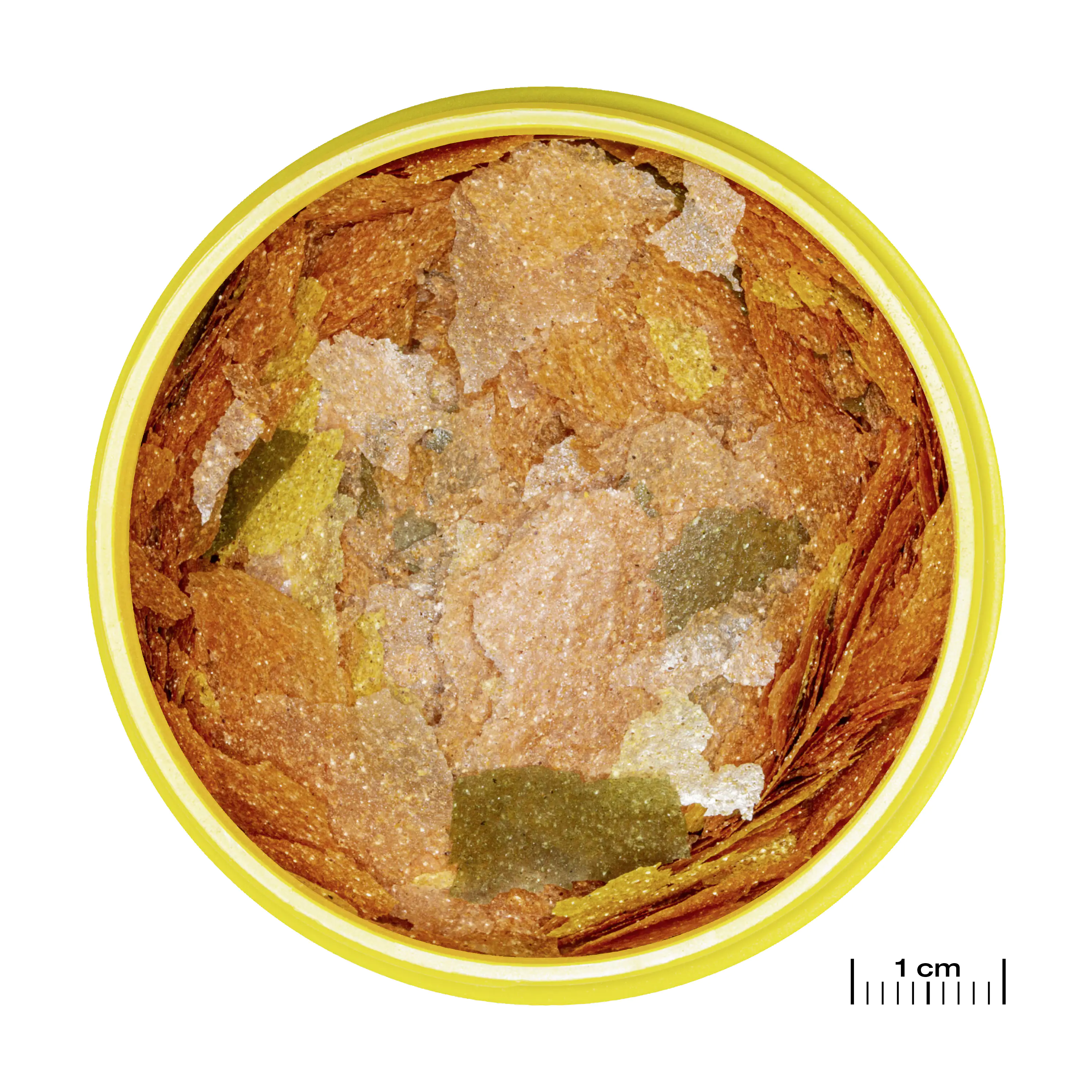 JBL Fischfutter Pronovo Tanganyika Flakes M Fischfutterflocken 250 ml