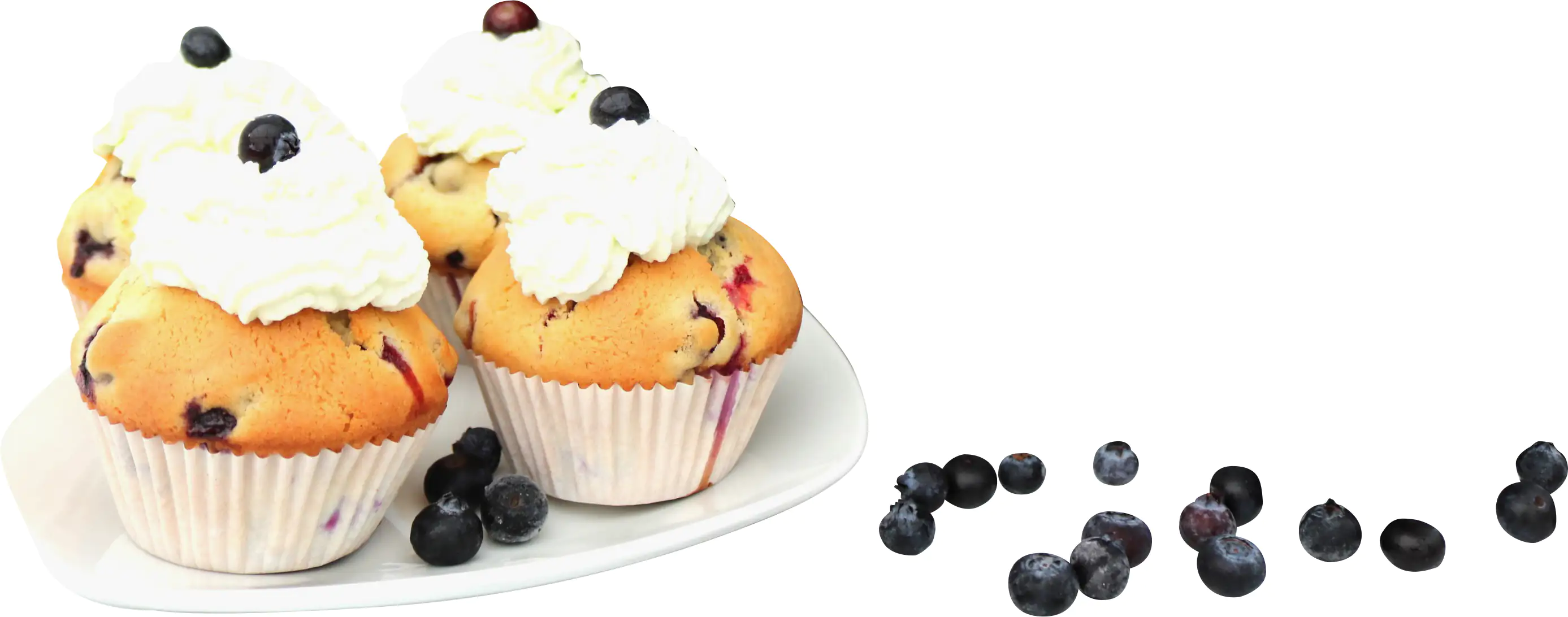 Blaubeerhecke Blue Cottage Berries, 13 cm Topf