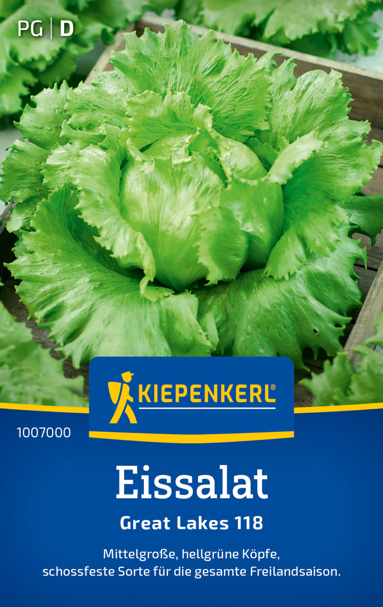 Kiepenkerl Eissalat Great Lakes 118 
