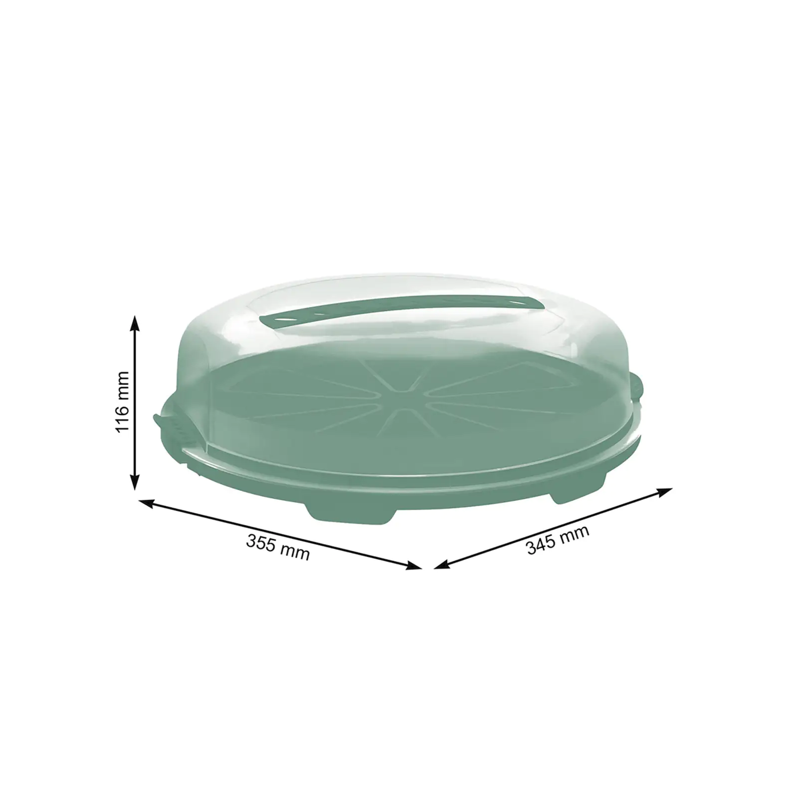 Rotho Tortenglocke Fresh flach mistletoe grün