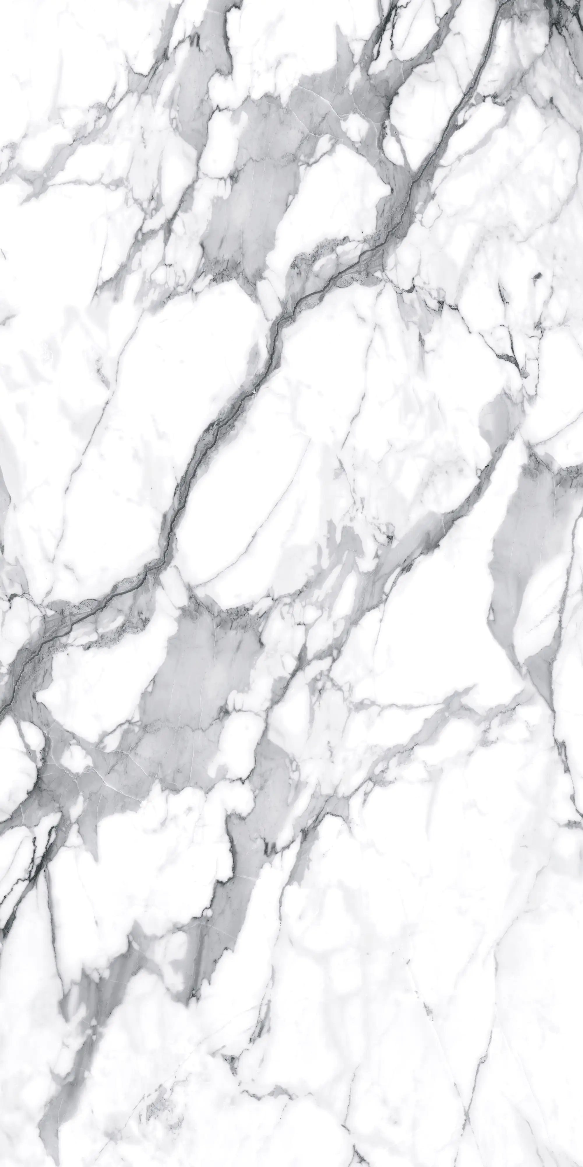 Bodenfliese Feinsteinzeug Visage Grey Plus 120 x 240 cm weiß