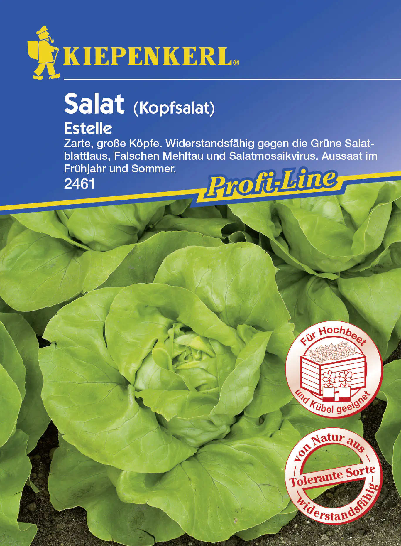 Kiepenkerl Kopfsalat Estelle Lactuca sativa var. capitata, Inhalt: ca. 100 Pflanzen Kiepenkerl Kopfsalat Estelle Lactuca sativa var. capitata, Inhalt: ca. 100 Pflanzen