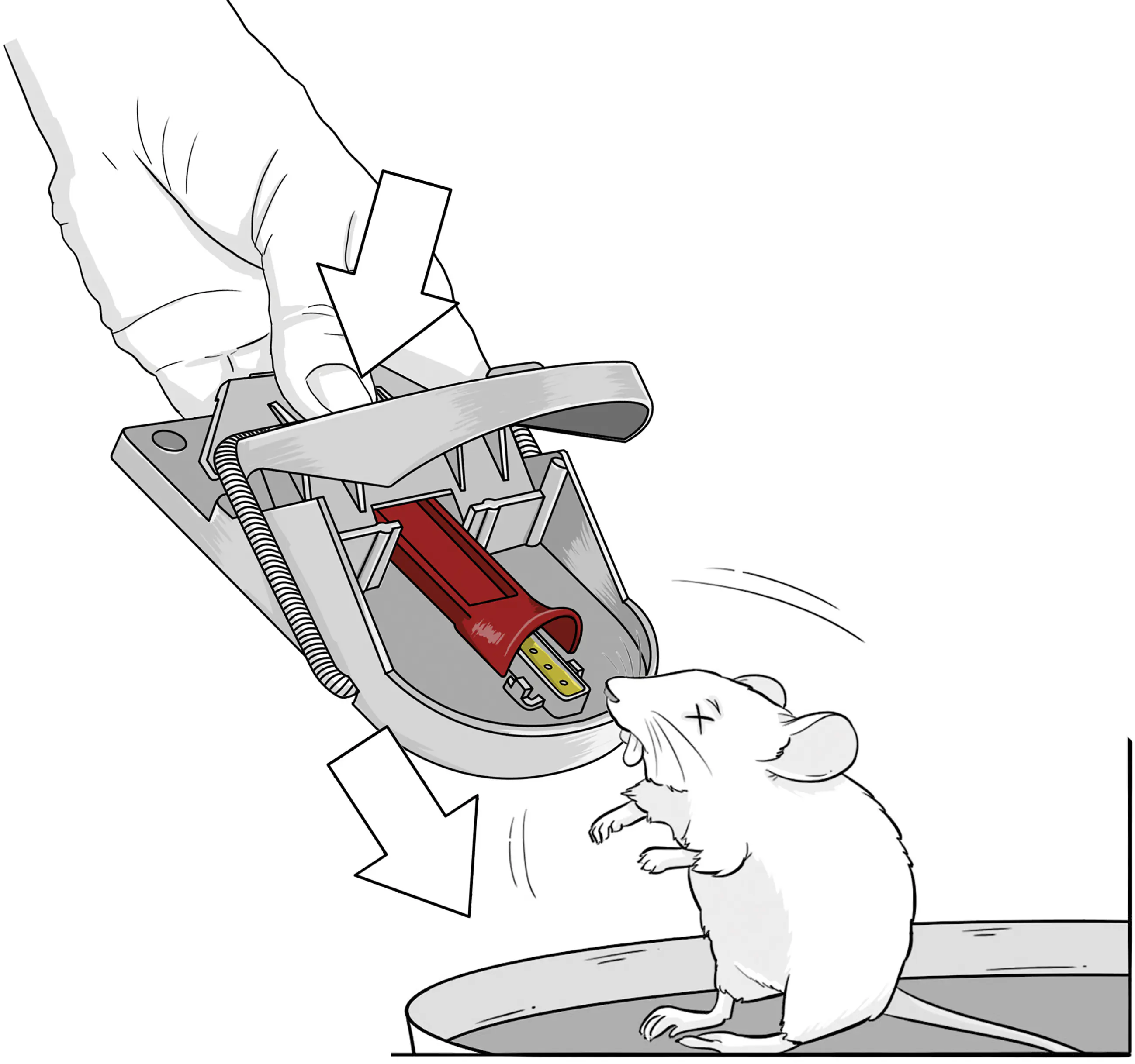 Swissinno Fangmelder Connect & Mausefalle PRO SuperCat 