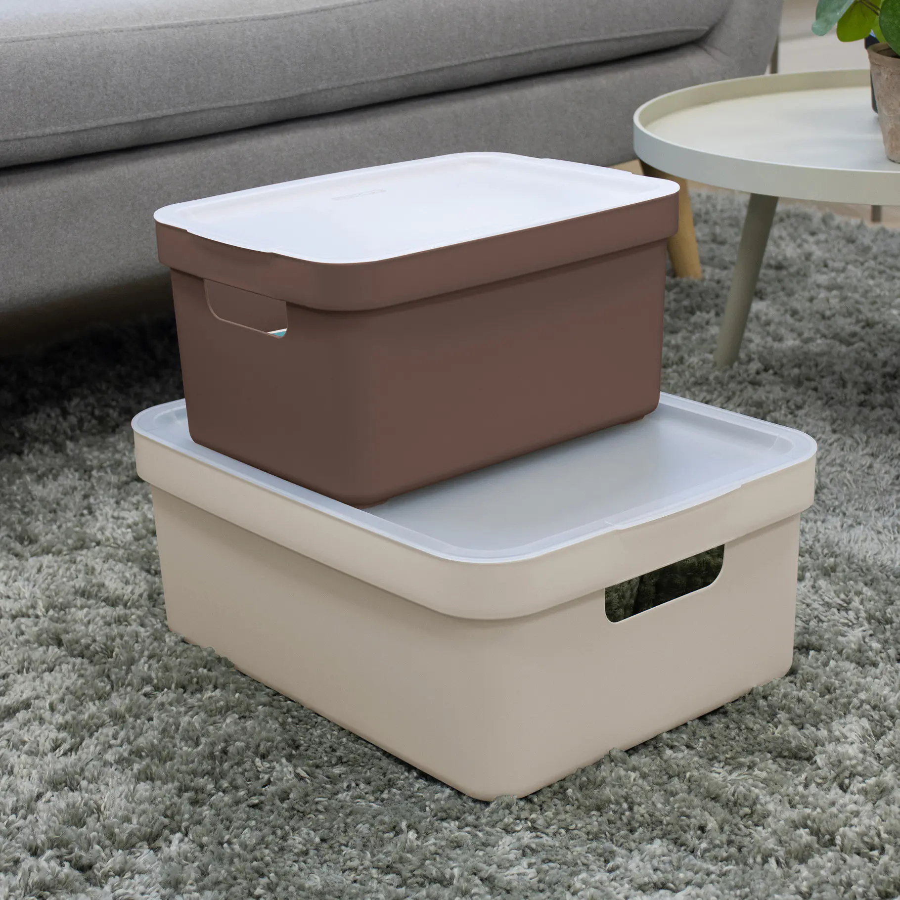 Sunware Deckel für Aufbewahrungsbox Sigma Home 9l, 13l, 18l, 25l transparent