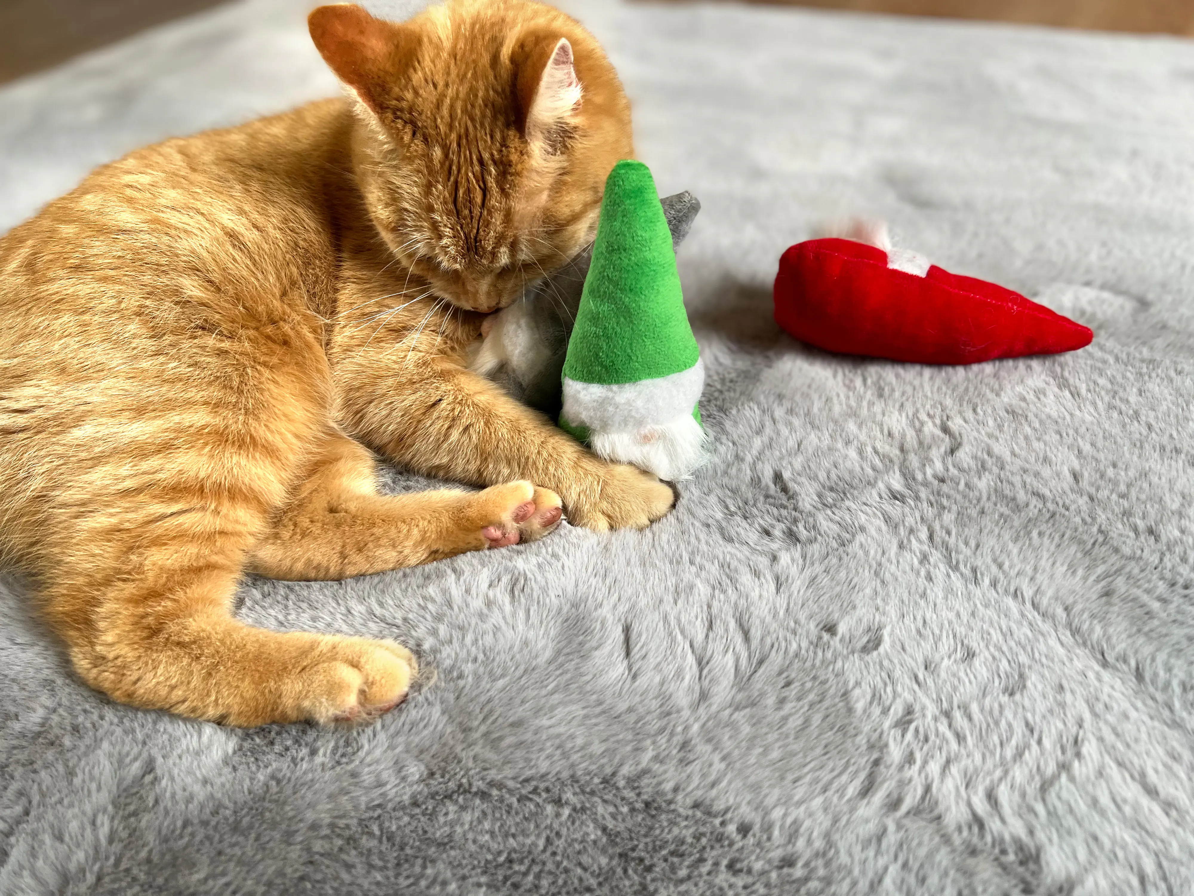 Aumüller Katzenspielzeug Weihnachtswichtel 15 cm  - 3 Stk. Aumüller Katzenspielzeug Weihnachtswichtel 15 cm  - 3 Stk.