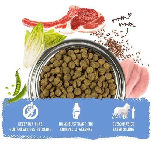 Bosch Trockenfutter für Hunde Junior 1 kg mit Lamm & Reis Bosch Trockenfutter für Hunde Junior 1 kg mit Lamm & Reis
