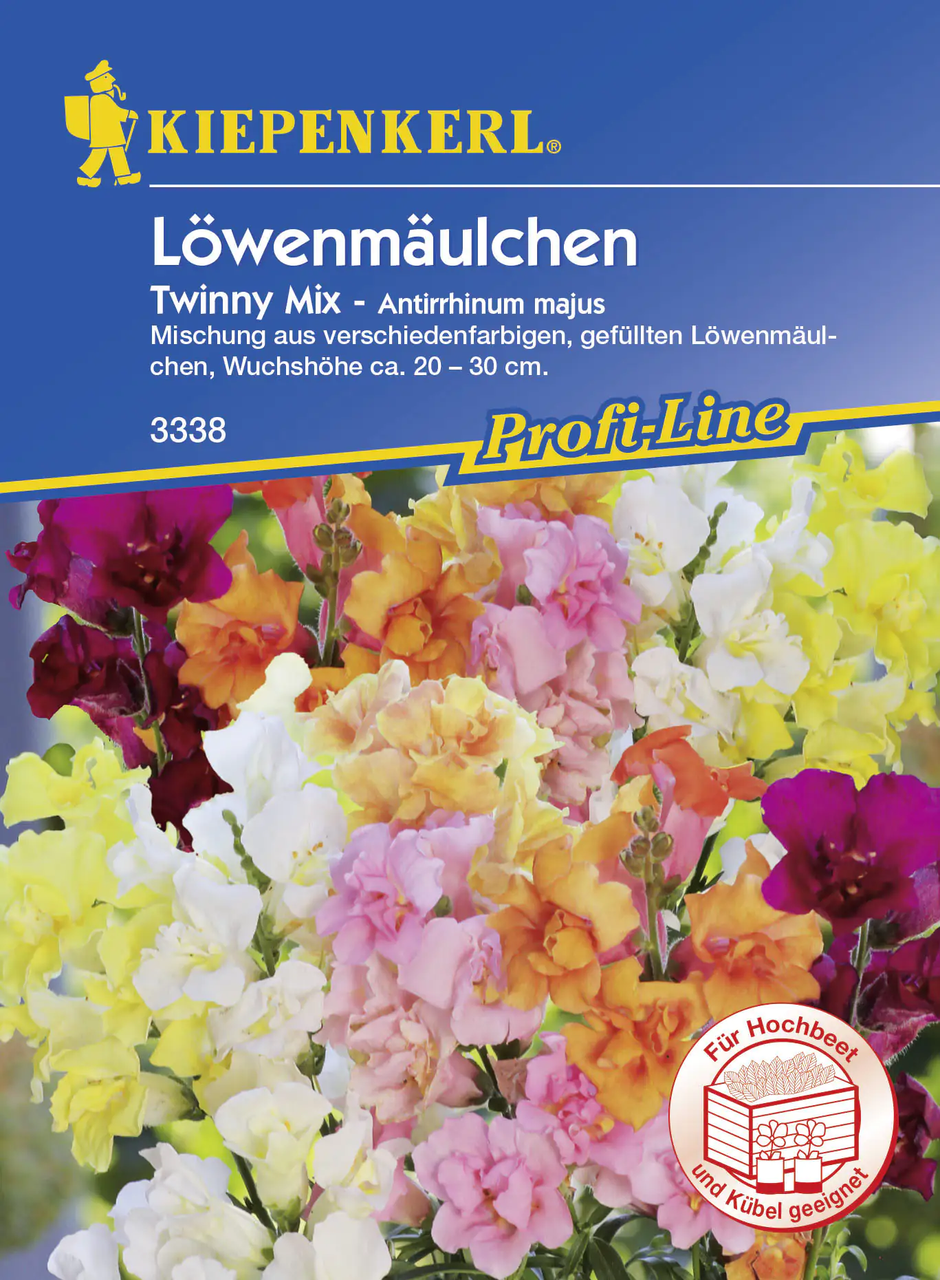 Kiepenkerl Löwenmäulchen Twinny Agropyron repens, Inhalt: ca. 40 Pflanzen