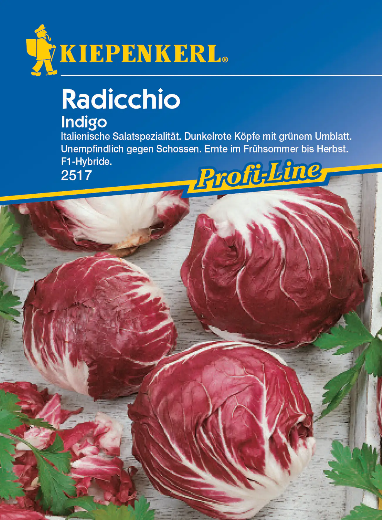 Kiepenkerl Radicchio Indigo F1 Kiepenkerl Radicchio Indigo F1