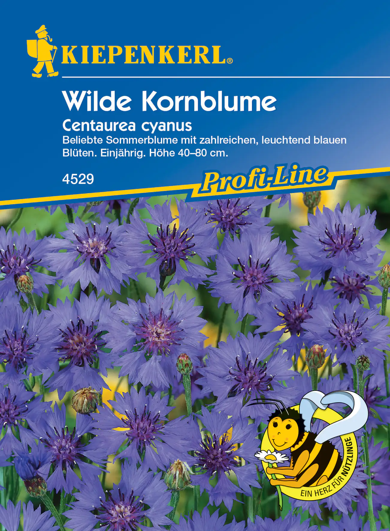 Kiepenkerl Wilde Kornblume
