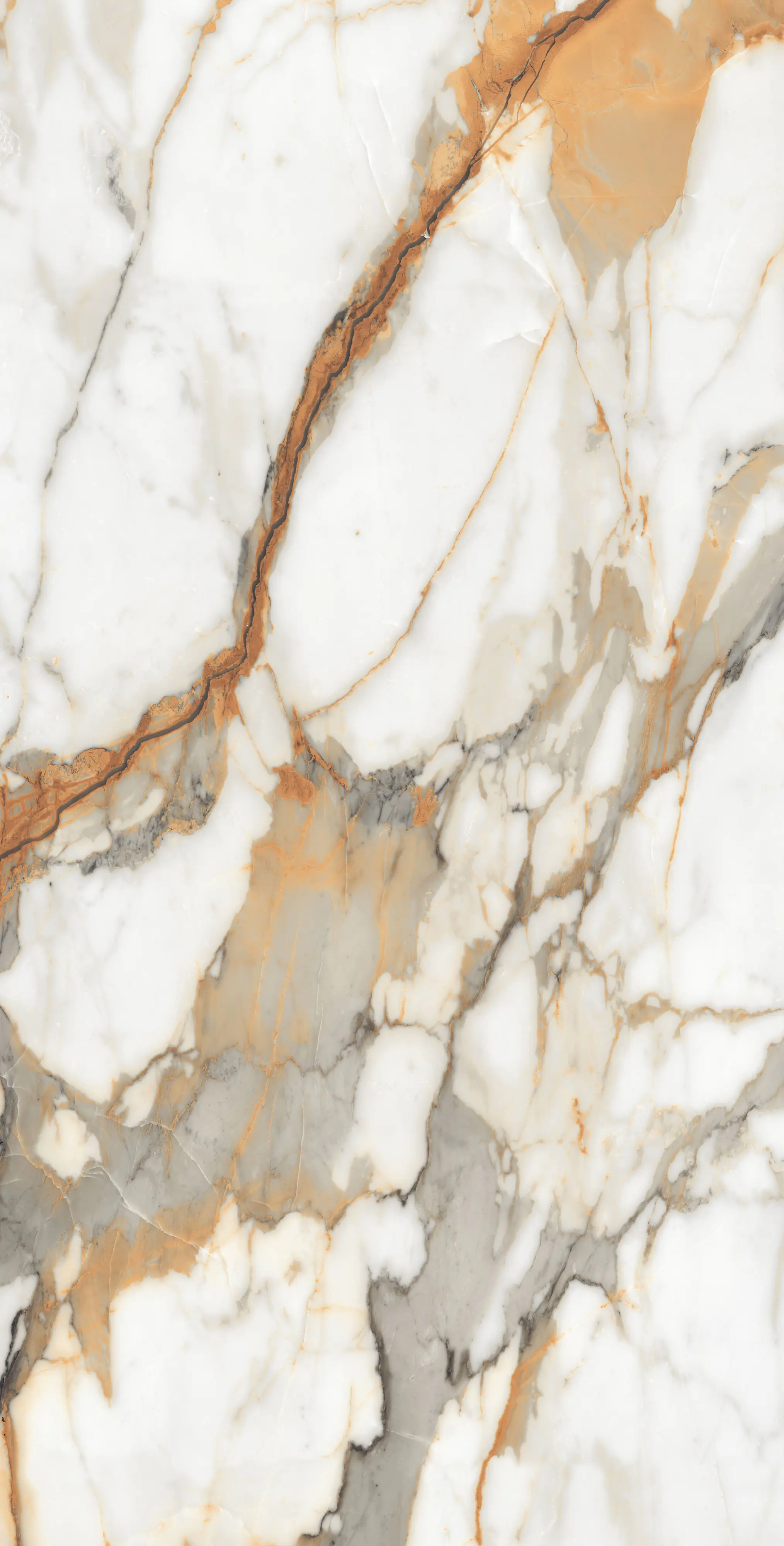 Bodenfliese Feinsteinzeug Visage Gold Plus 60 x 120 cm weiß