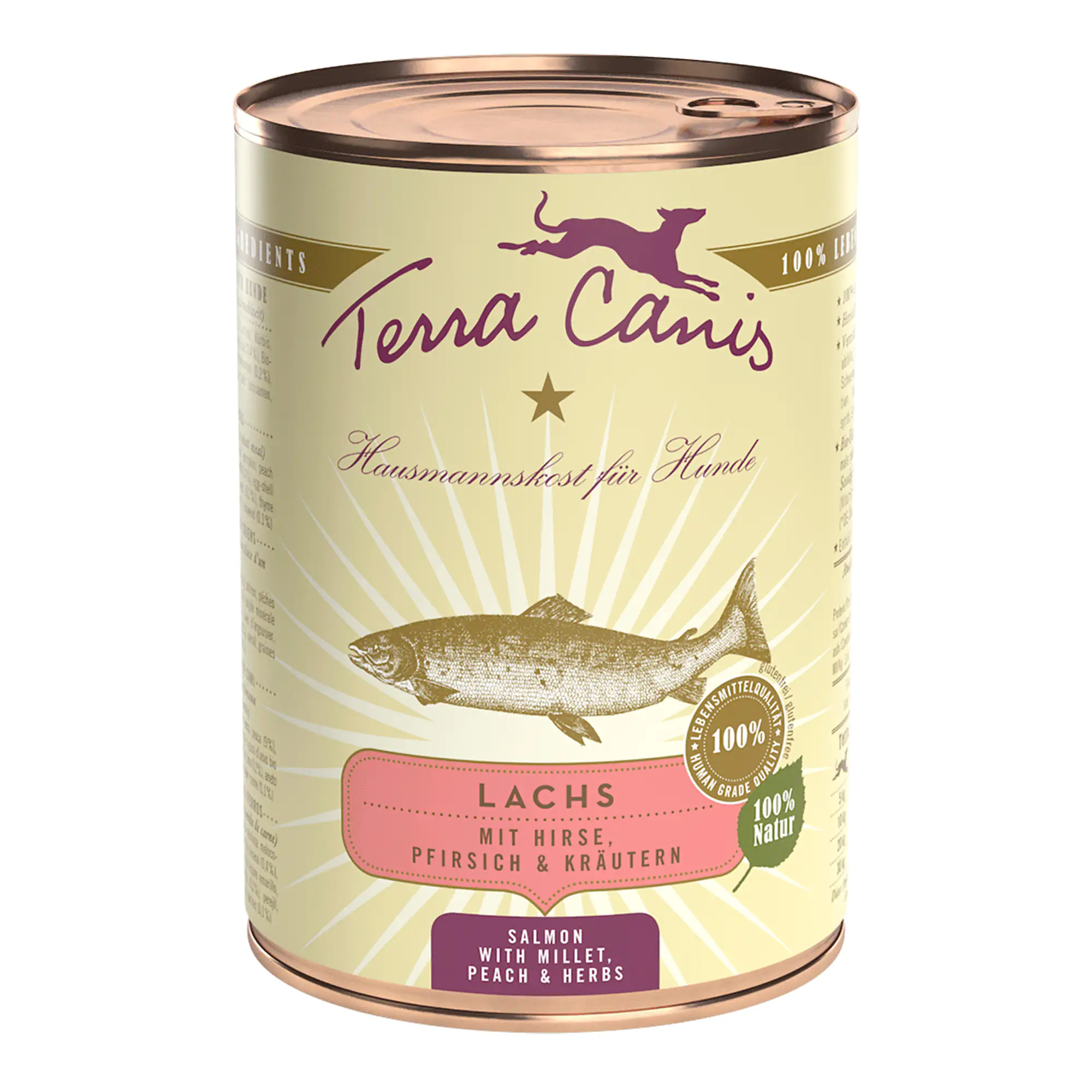 Terra Canis Classic Adult Lachs mit Hirse Pfirsich & Kräutern 400 g