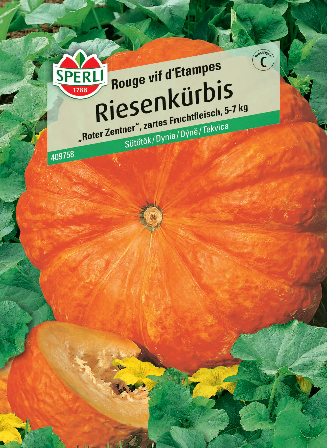 Sperli Riesenkürbis Rouge vif d'Etampes