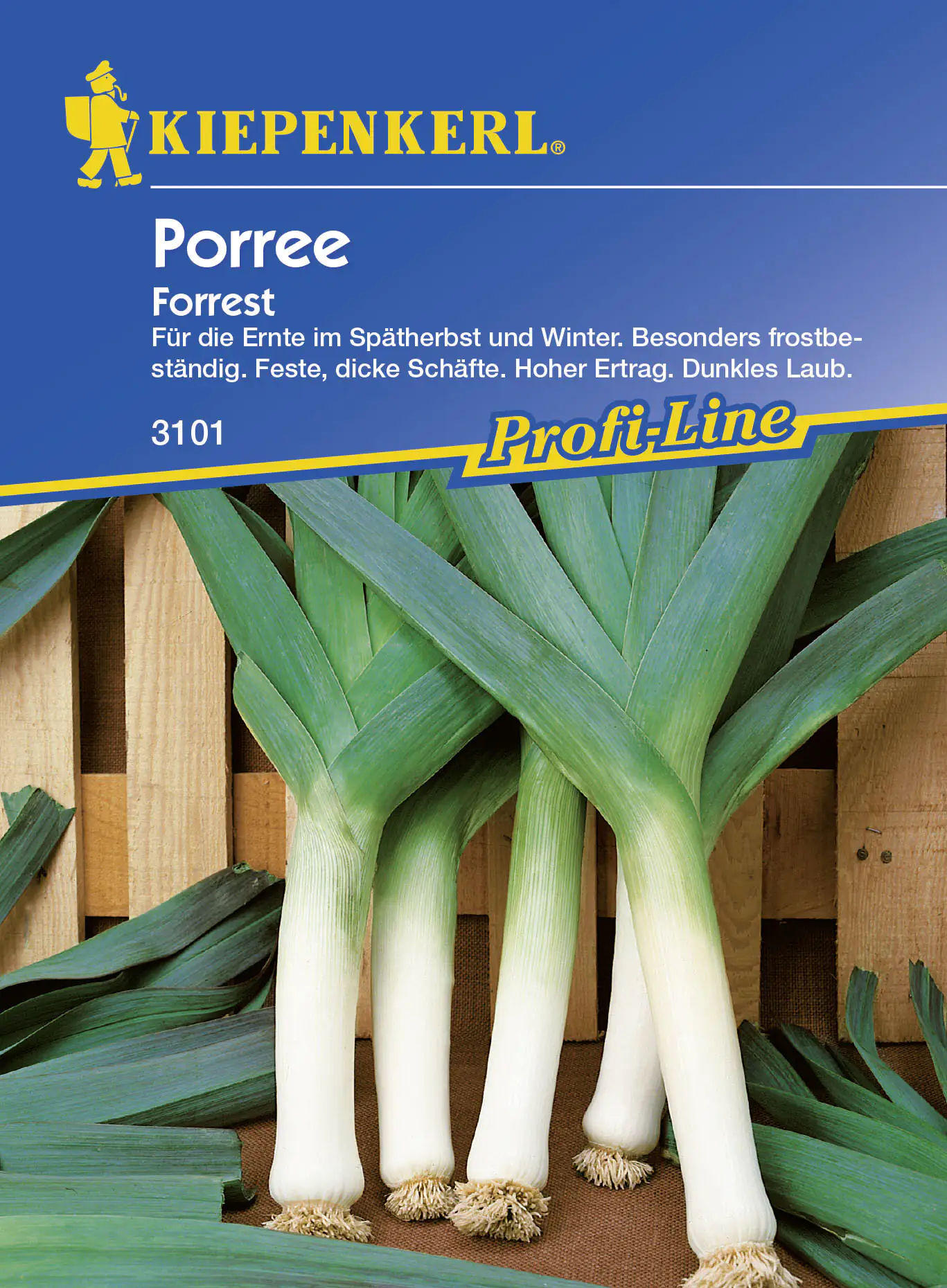 Kiepenkerl Porree Blaugrüner Winter Forrest Agrostemma githago, Inhalt: 100 Korn