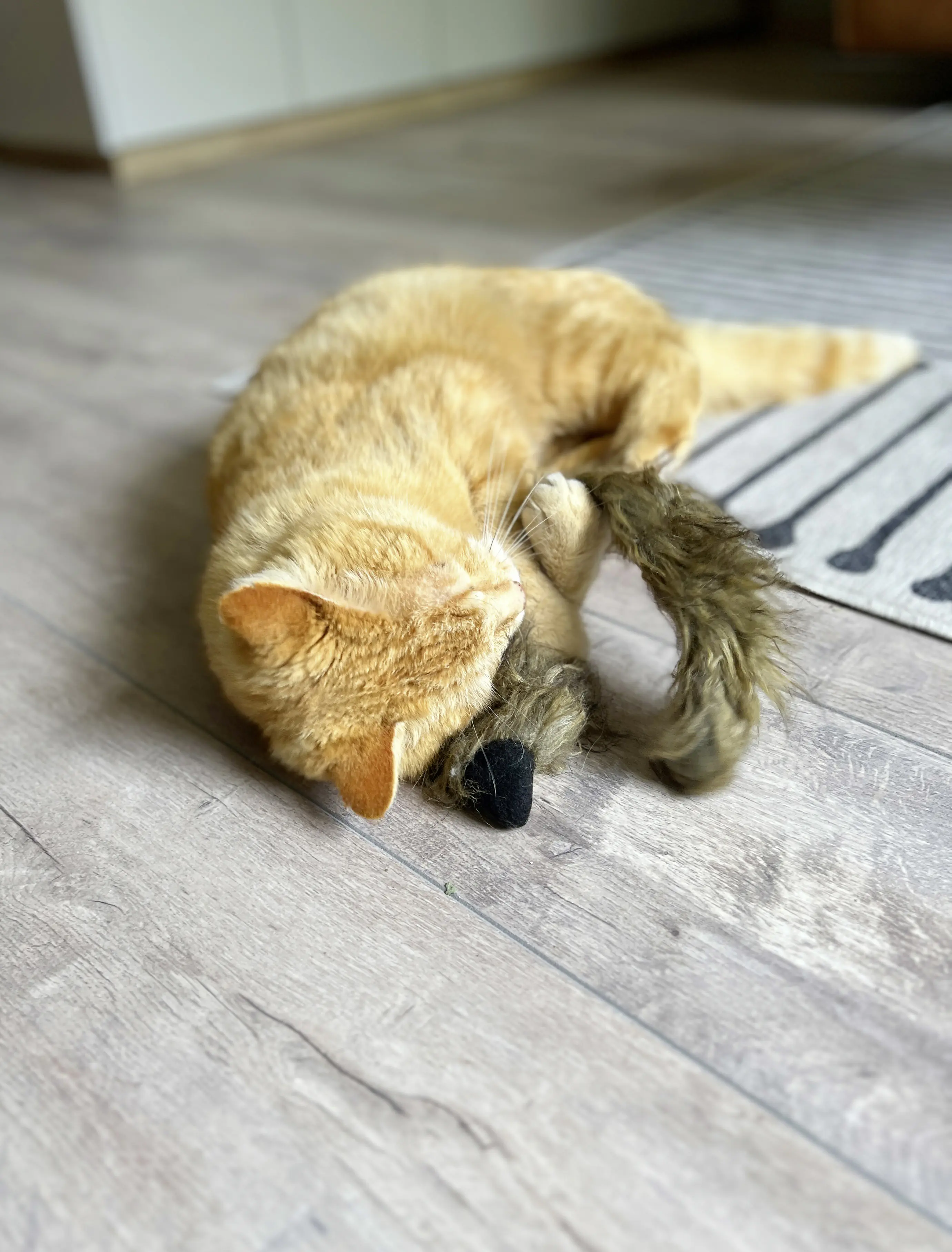 Aumüller Katzenspielzeug Frettchen grau mit Füllung 42 x 10 x 3 cm