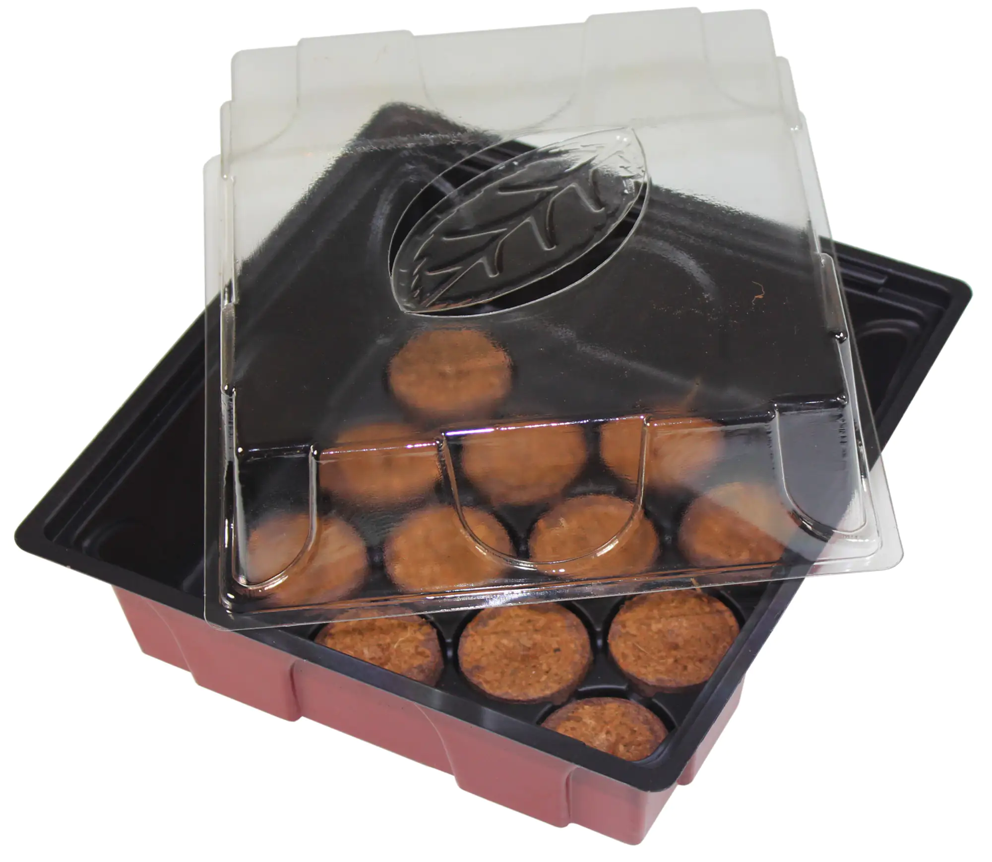 Winhager Anzucht-Gewächshaus Midi 19,5 x 19 x 11 cm + 12 Quelltabs