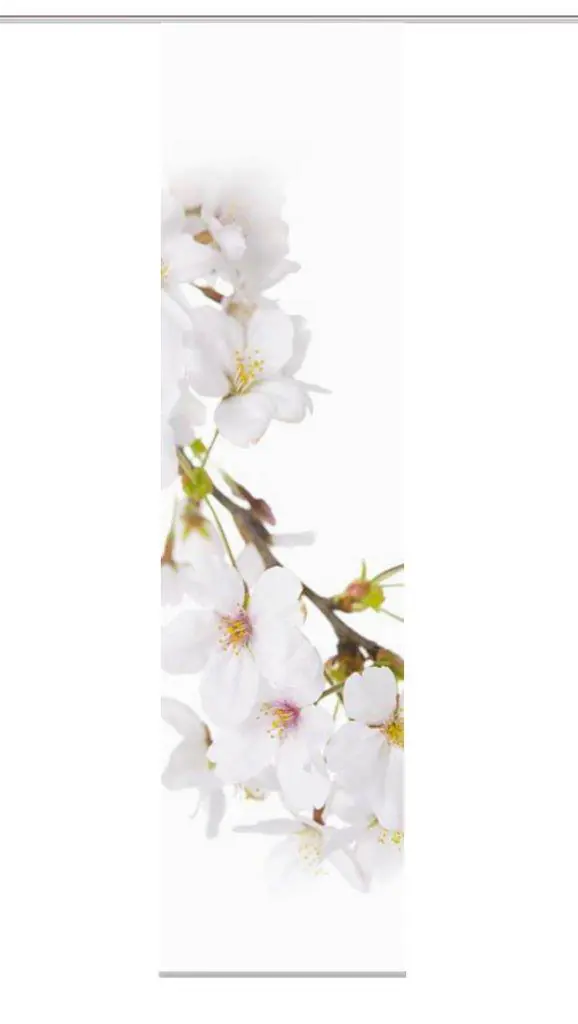 Home Wohnideen Schiebegardine Kirangi 245 x 60 cm weiß