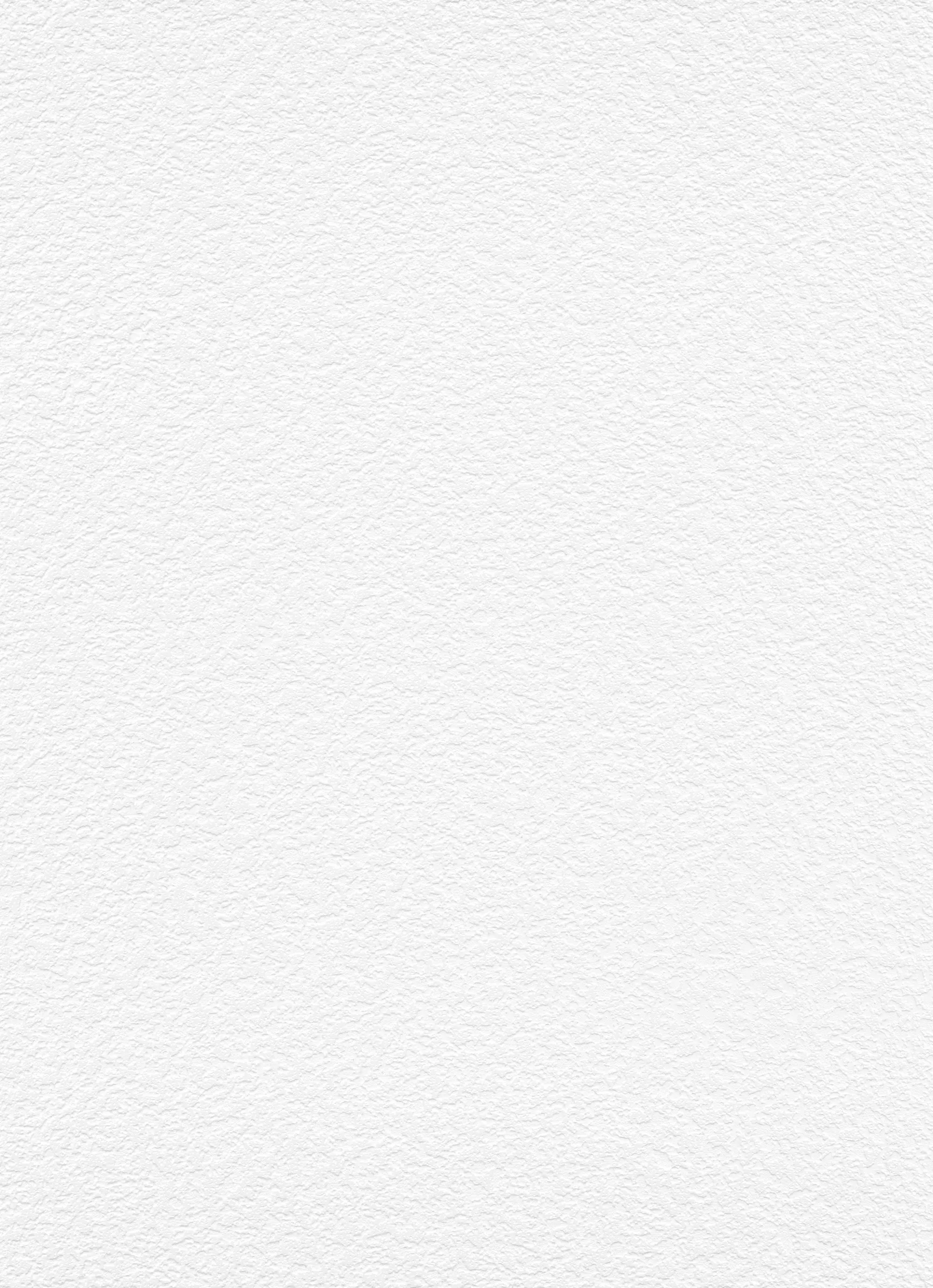 Erismann Vliestapete Putzstruktur weiß 15 x 0,53 m