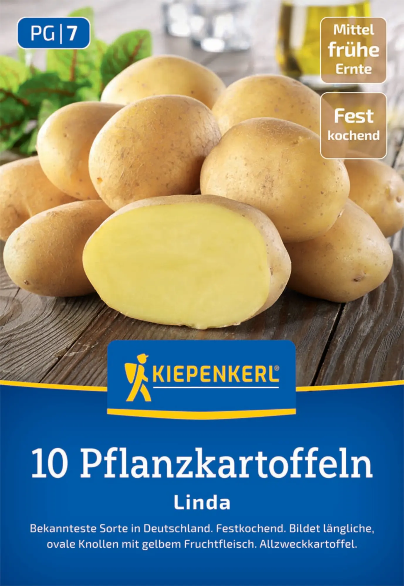 Kiepenkerl Pflanzkartoffel Linda 10 Stück