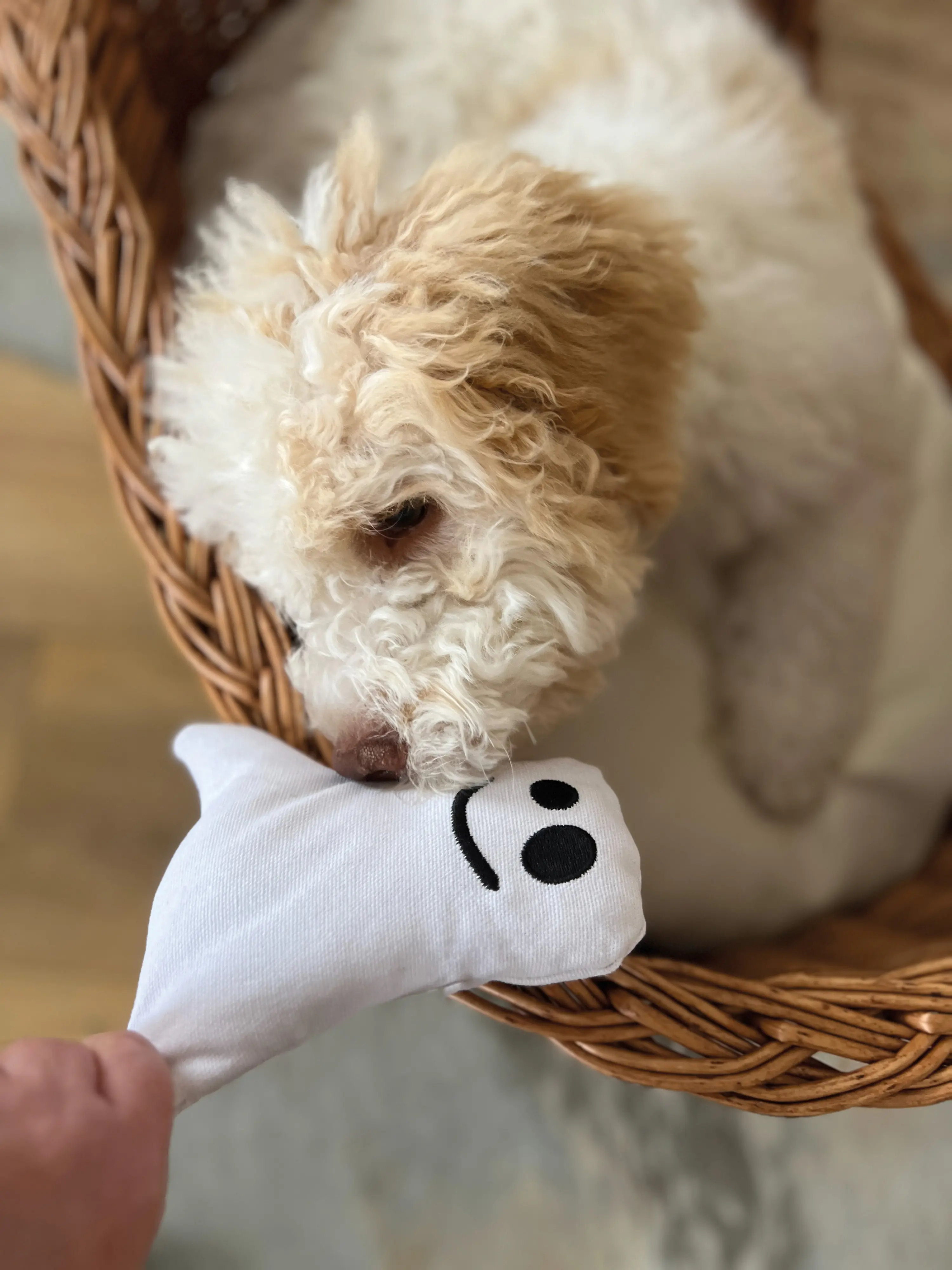 Aumüller Hundespielzeug Geist 16 cm weiß schwarz Aumüller Hundespielzeug Geist 16 cm weiß schwarz