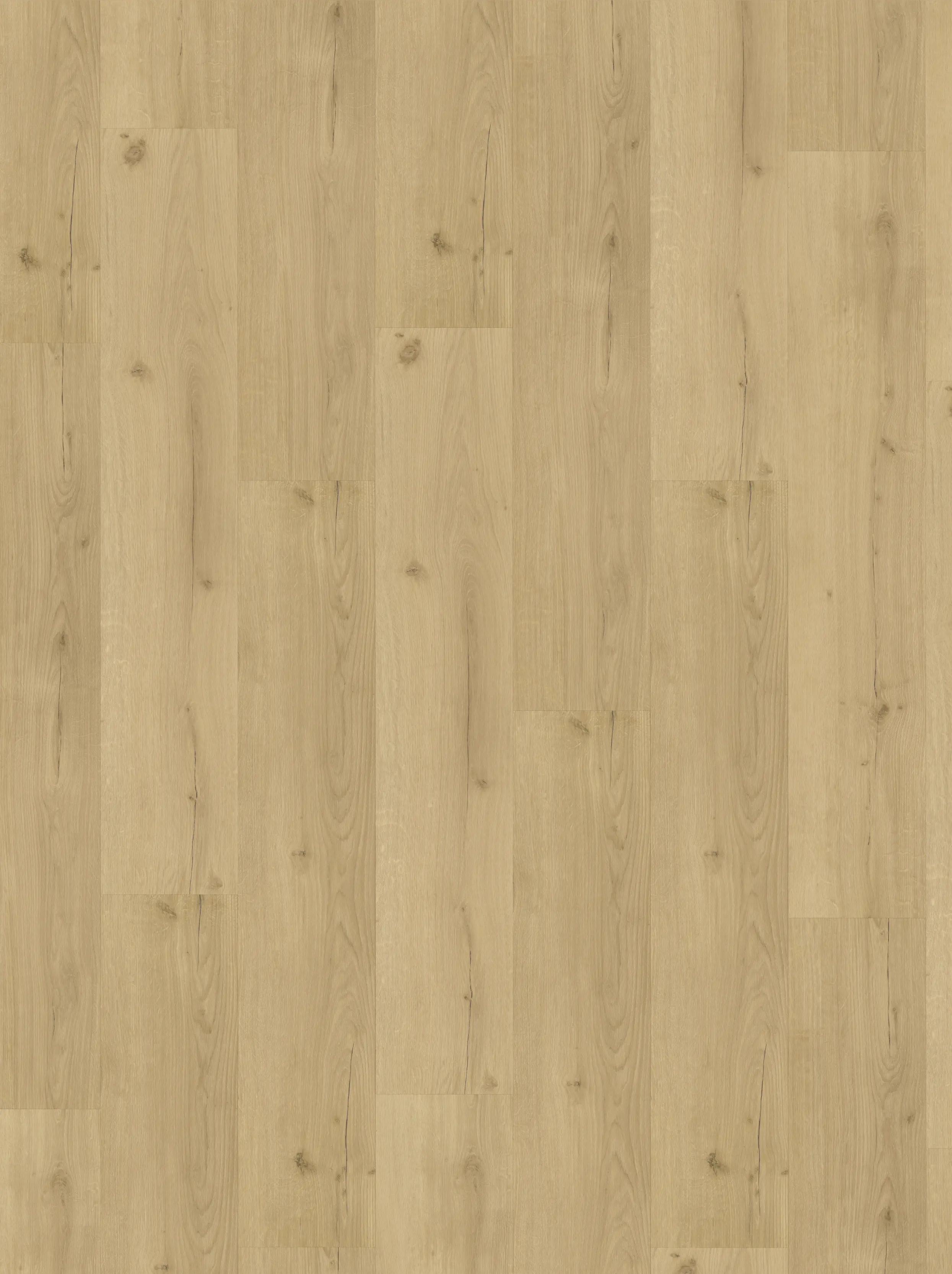 Parador Vinylboden mit Trillschalldämmung Basic 30 Eiche Sorella 