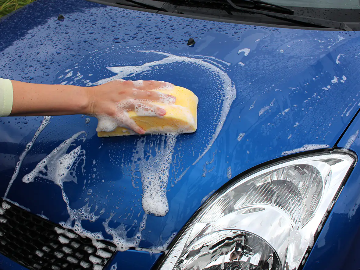 APA Autoschwamm Softclean halbrund 20x8,5x5cm