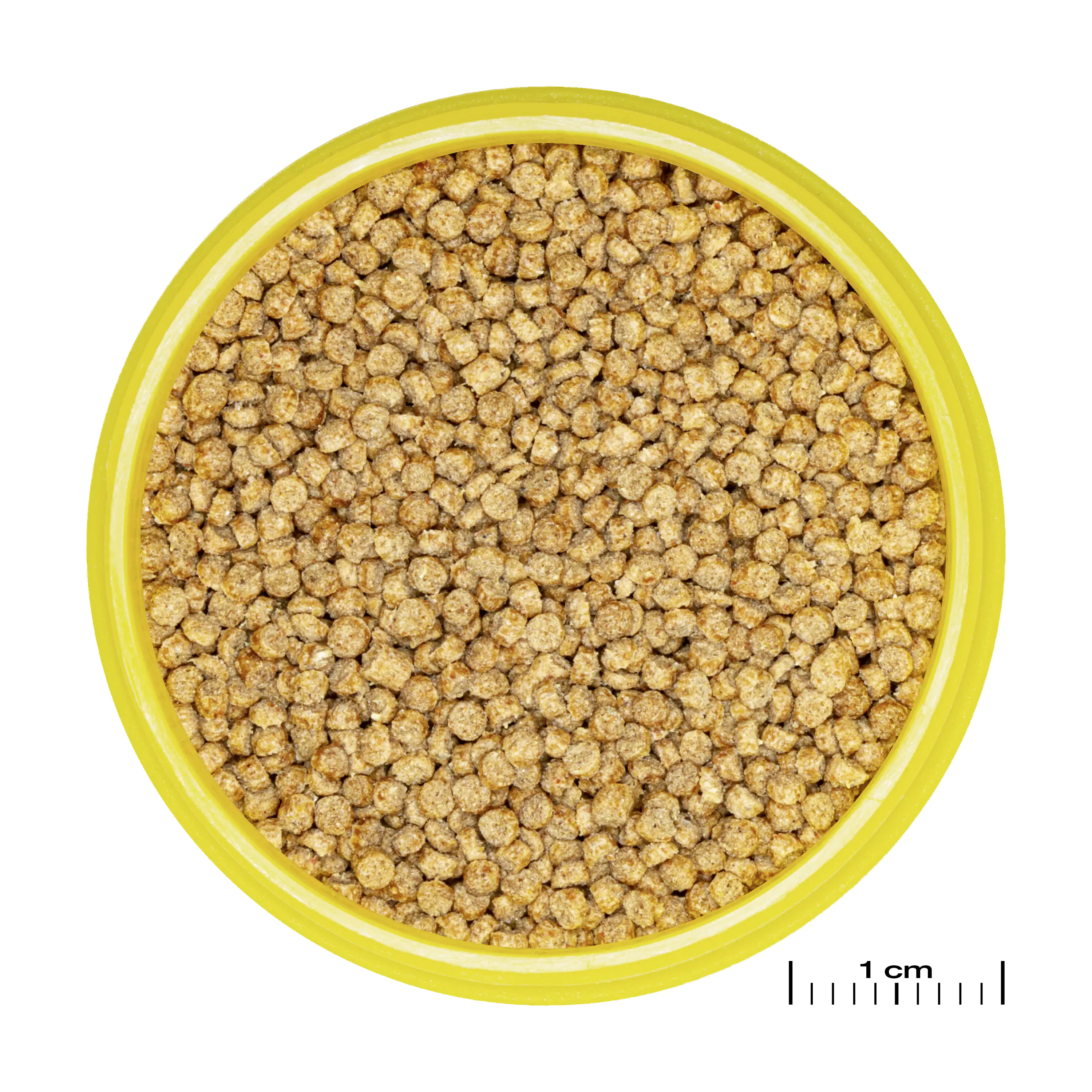 JBL Fischfutter Pronovo Cichlid Grano S Fischfuttergranulat 100 ml