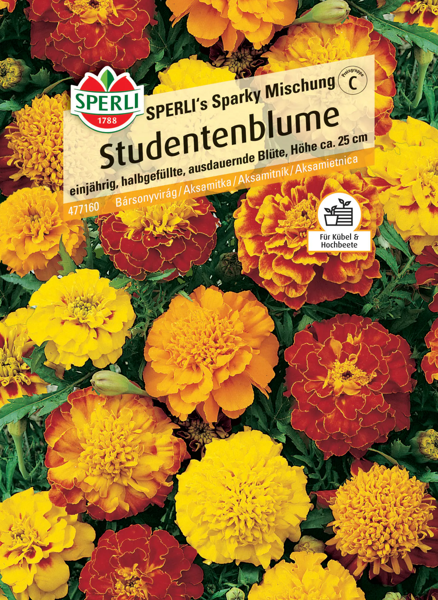 Sperli Studentenblume SPERLI's Sparky Mischung