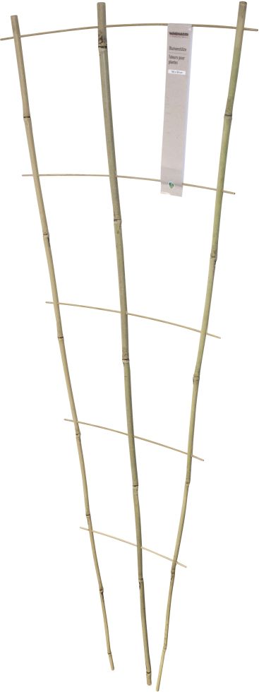 Rankgitter 150 x 50 cm