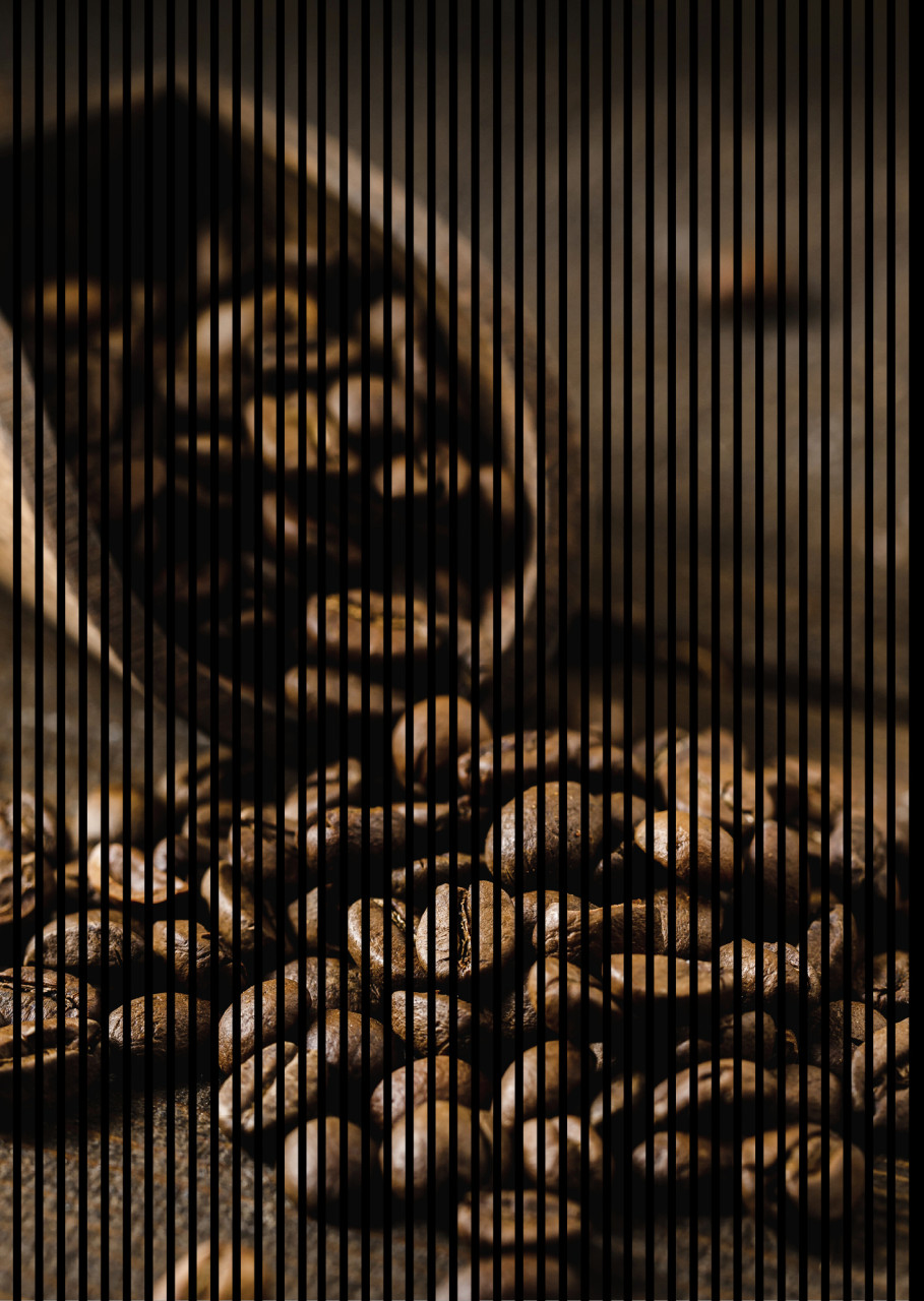 Neuhofer Akustikpaneele Kaffee 240 x 169,3 x 1,9 cm