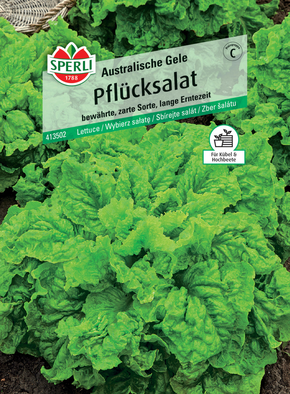 Sperli Pflücksalat Australische Gele