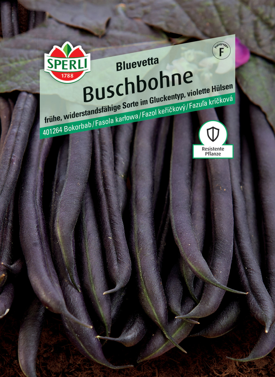 Sperli Buschbohne Bluevetta