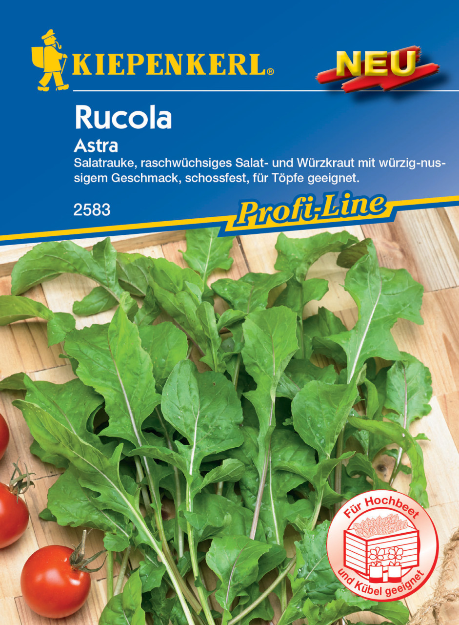 Kiepenkerl Salatrauke Astra