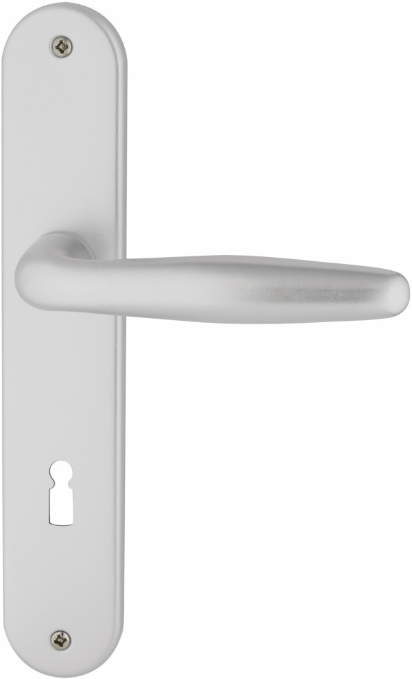 Alpertec BB-Langschildgarnitur Ray II Aluminium F1 silber abgerundet