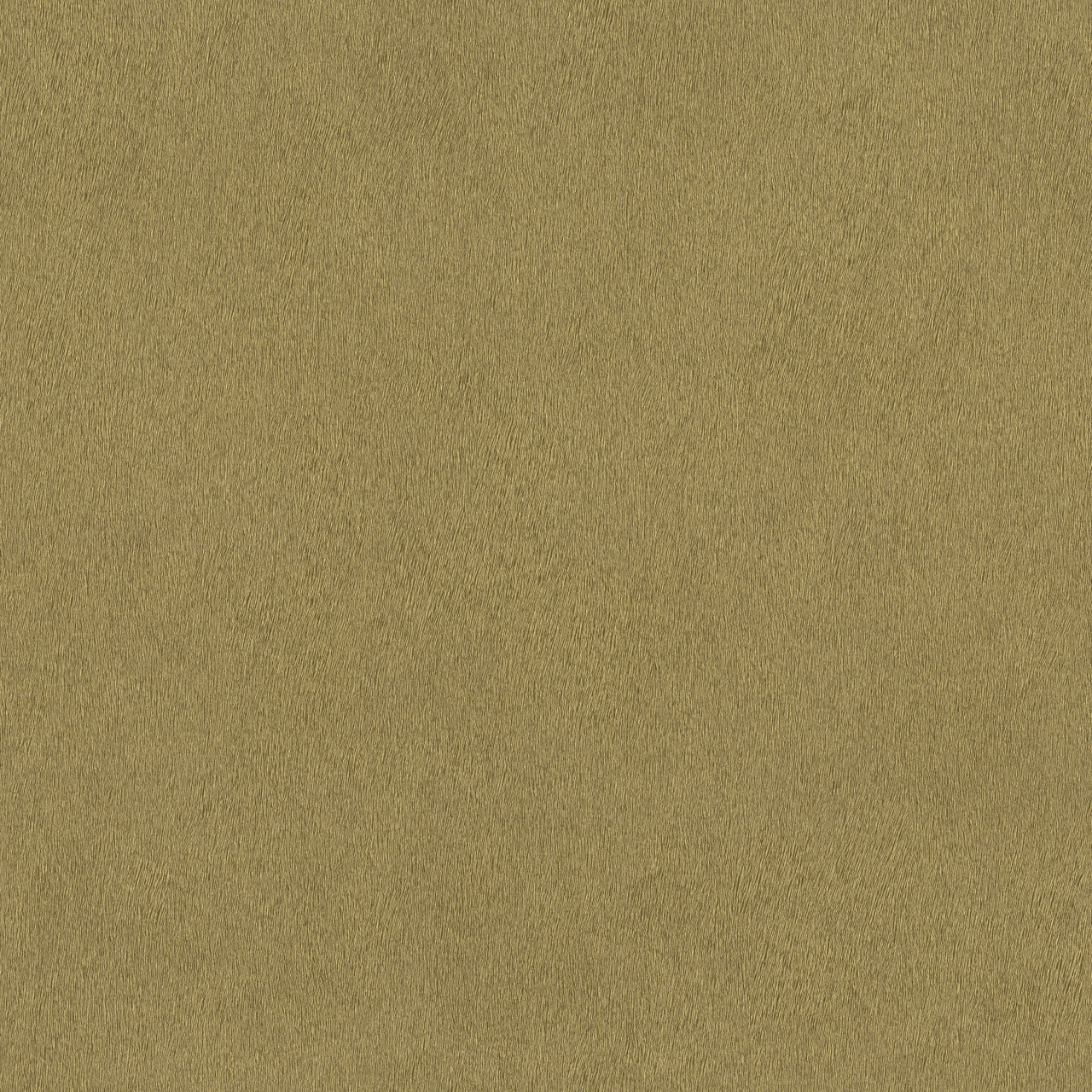 Rasch Vliestapete 751031 Gold-Mattgold Uni 10,05 m x 0,53 m