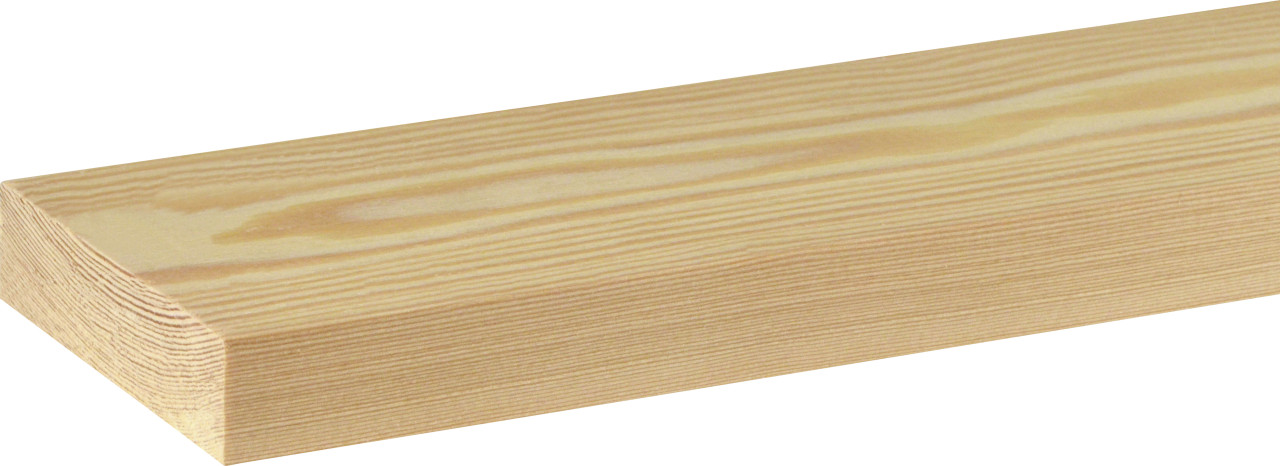 FN Neuhofer Flachleiste 200 cm 79,7 x 18,7 mm Lärche roh