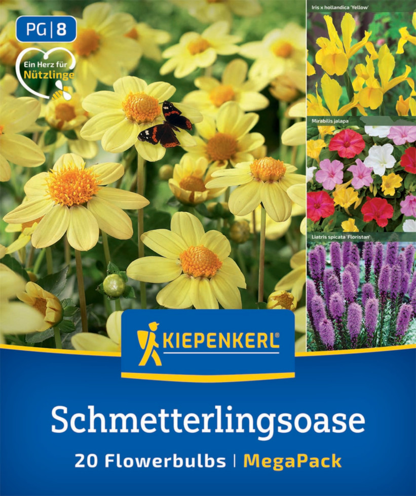 Kiepenkerl Saatgut Blumenzwiebelmischung Mega-Pack für ca. 20 Pflanzen