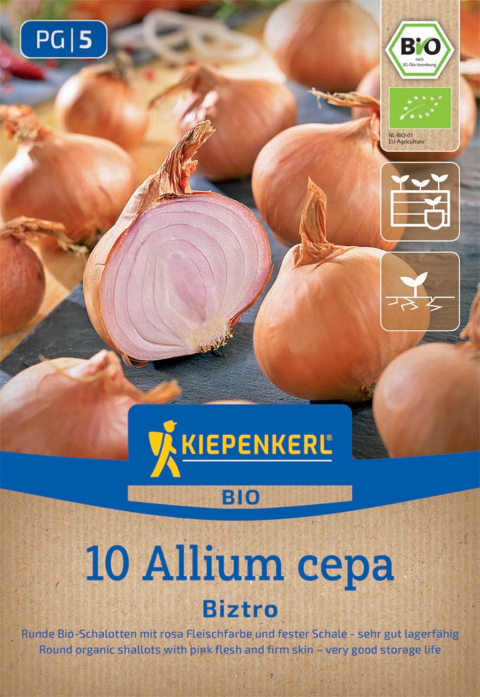 Kiepenkerl Bio Schalotte Biztro Gr. 7/14, 10 Stück