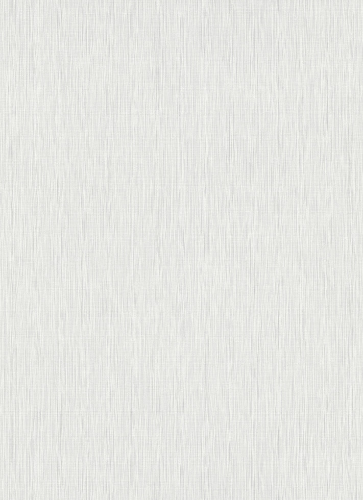 Erismann Vliestapete 10376-31 Fashion for Walls 4 uni hellgrau 10,05 x 0,53 m