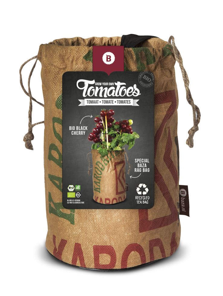 Baza Seeds Tomato Club Bio Tomate Black Cherry