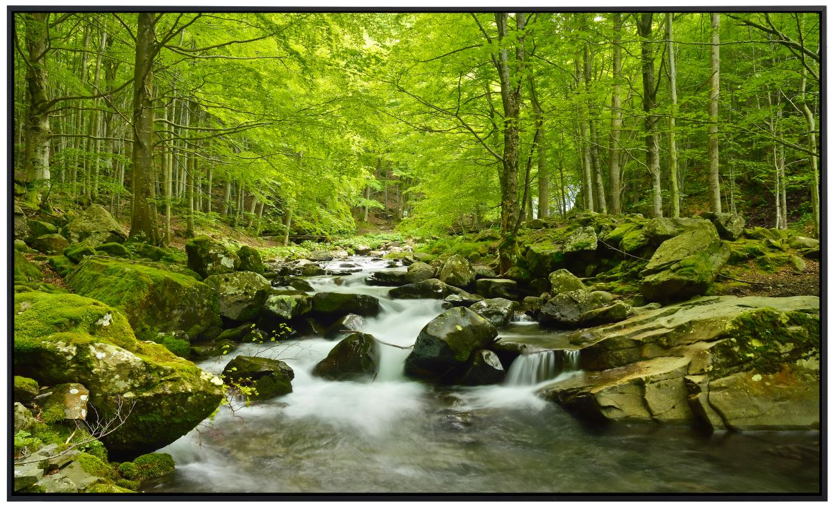 papermoon Infrarotheizkörper EcoHeat 60x120 cm 1200 Watt, Wasserfall Wald