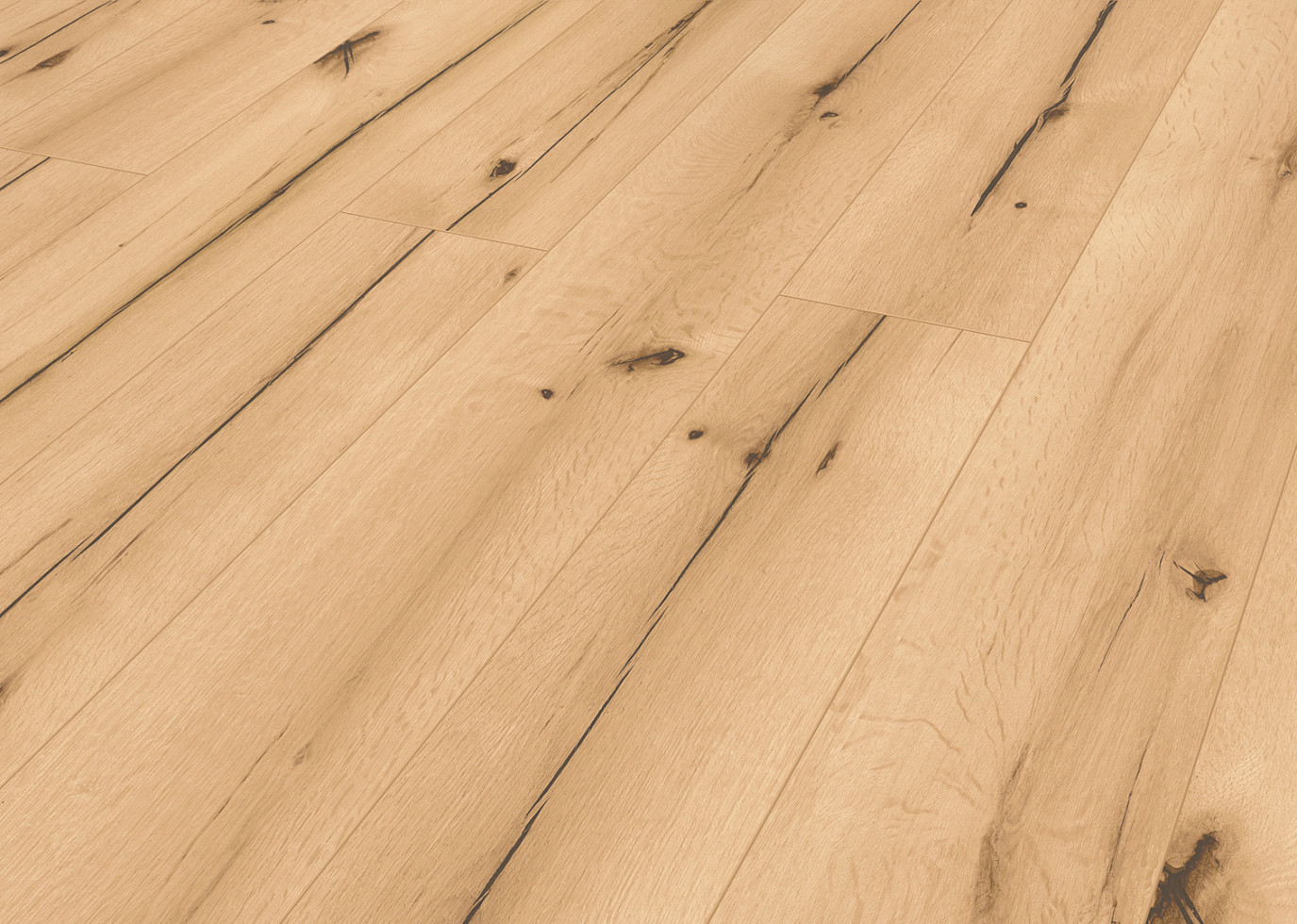 Classen Laminat edition 7+2 mit Trittschalldämmung Eiche Burnell