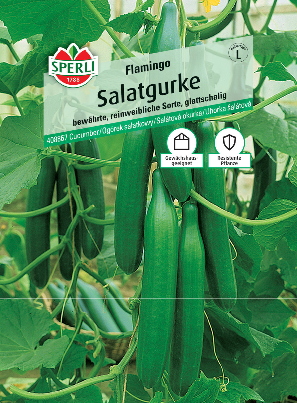 Sperli Salatgurke Flamingo F1