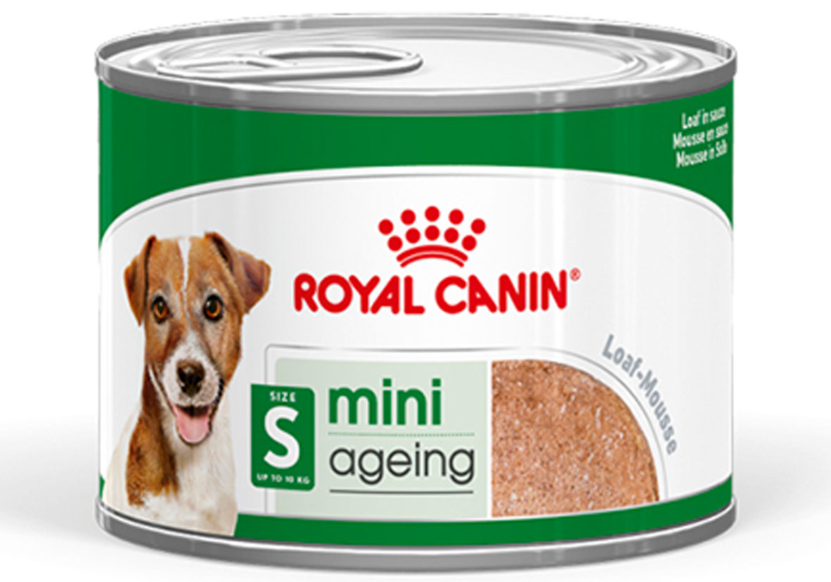 Royal Canin Hundenassfutter Senior 195 g Mini Ageing Mousse
