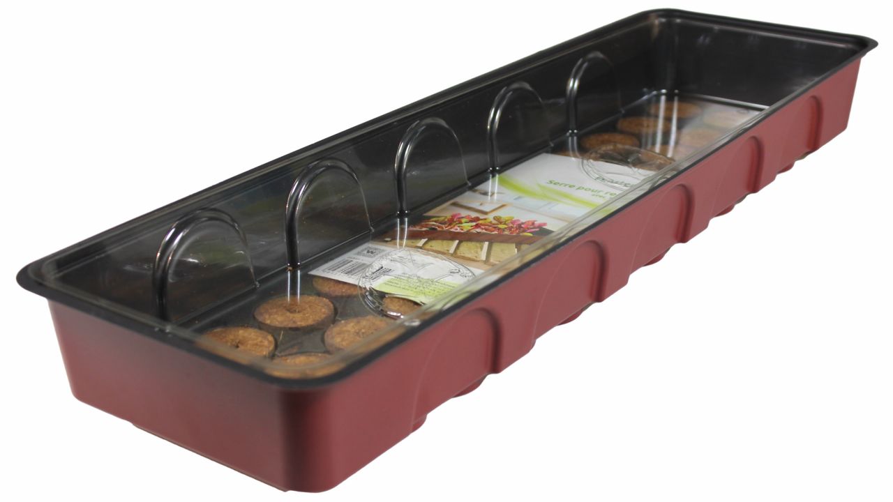 Windhager Anzucht-Gewächshaus 54,5 x 16,5 x 11 cm + 36 Quelltabs