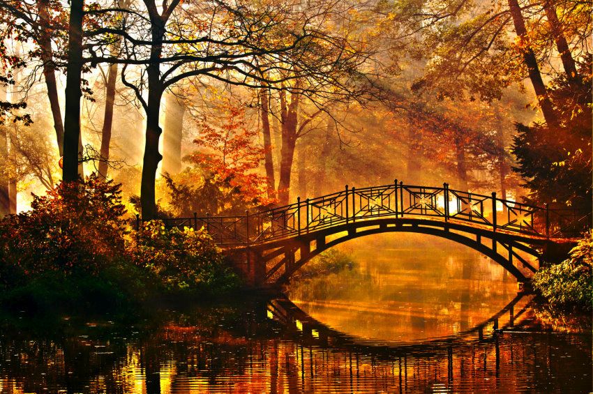 papermoon Vlies- Fototapete Digitaldruck 350 x 260 cm Misty Park Bridge