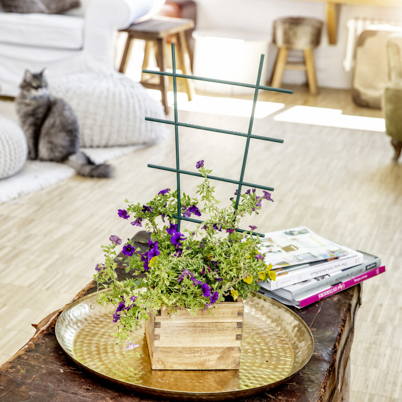 Windhager Blumenstütze 57x31cm 57 x 31 cm