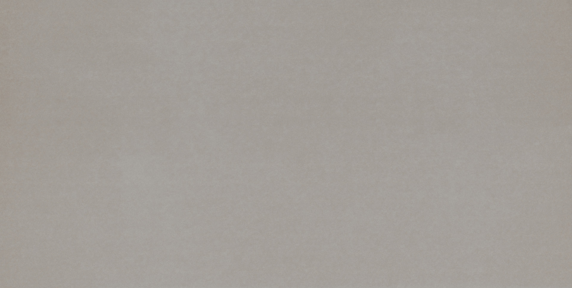 Bodenfliese Feinsteinzeug Promo 31 x 62 cm grau