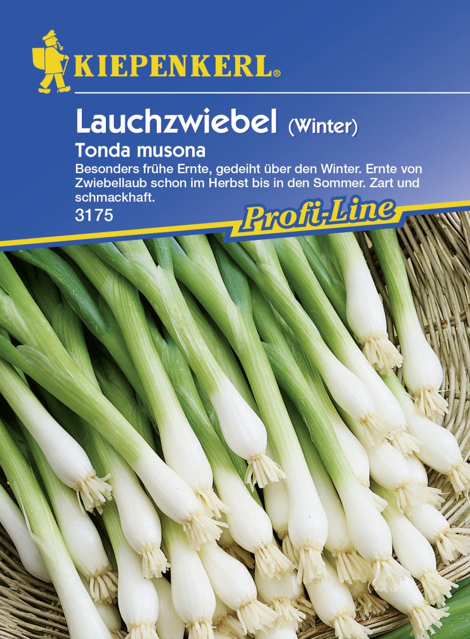 Kiepenkerl Winterlauchzwiebel Tonda musona ca. 6 lfd. Meter