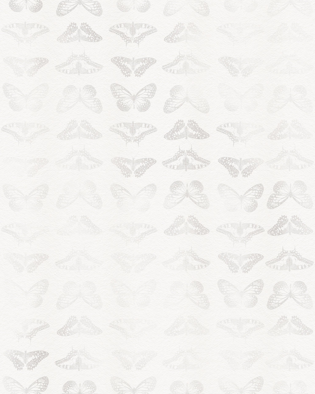 Komar Vlies Fototapete Mur de Papillons 200 x 250 cm
